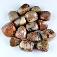 Marbled Jasper Tumbled Stones [Medium]